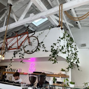 Captain + Stoker - I just love this plant - Coffee Roasteries Near Me - Monterey, California