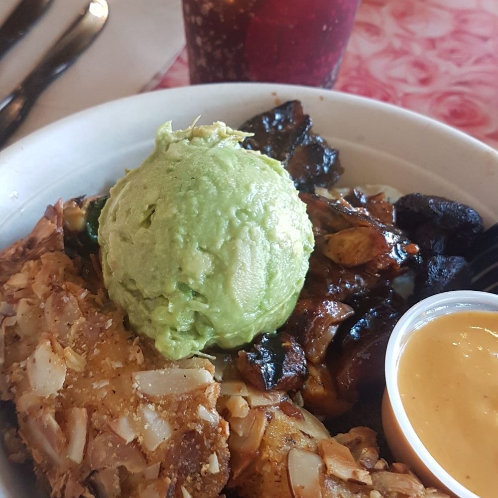 Fresh Kitchen - New American Near Me - Sarasota, Florida Fresh Kitchen - New American Near Me - Sarasota, Florida