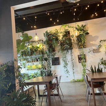 Leafy - Asian Fusion Near Me - Pembroke Pines, Florida Leafy - Asian Fusion Near Me - Pembroke Pines, Florida