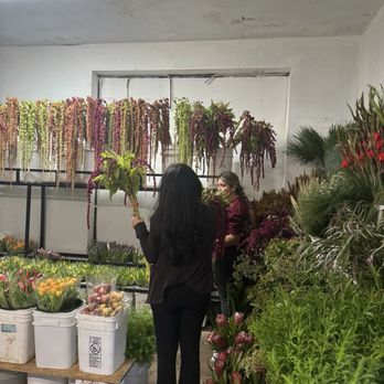 So Cal Flowers & Supply - Flowers & Gifts Near Me - Oxnard, California So Cal Flowers & Supply - Flowers & Gifts Near Me - Oxnard, California