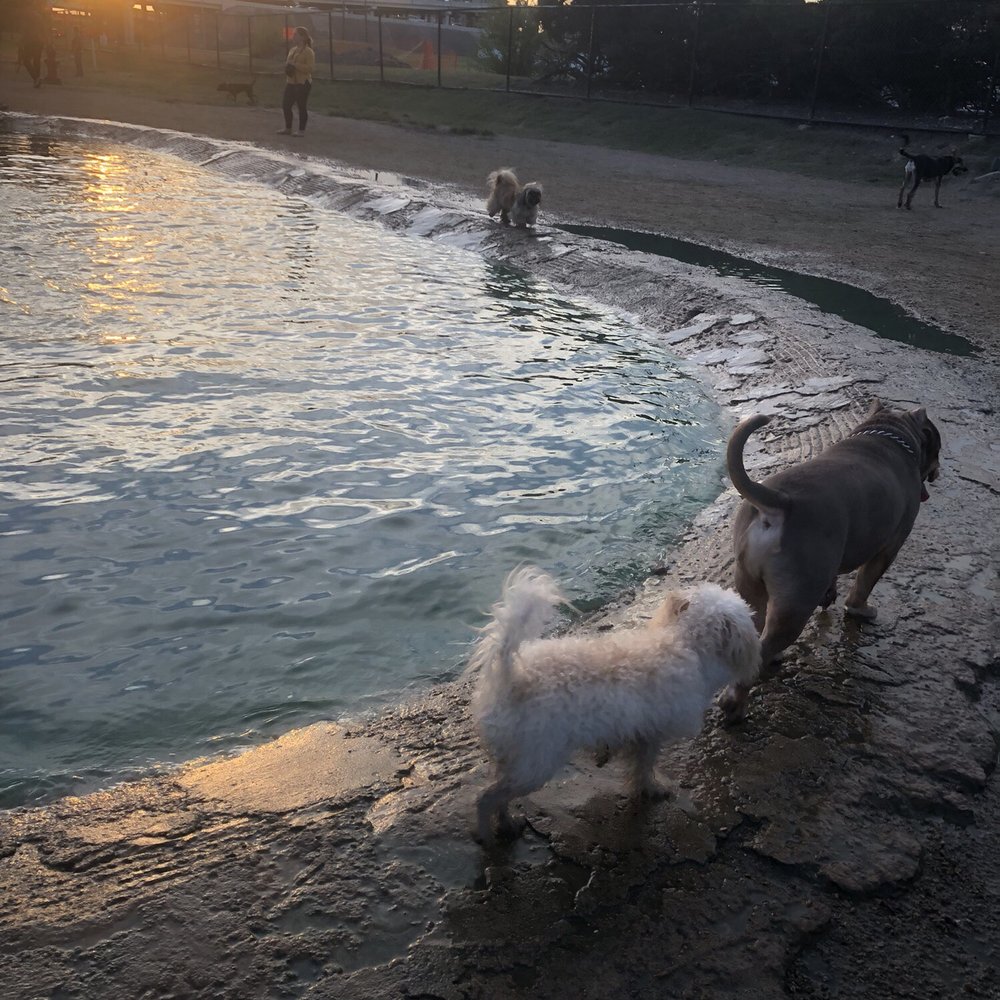 Danny Jackson Dog Park - Dog Parks Near Me - Houston, Texas