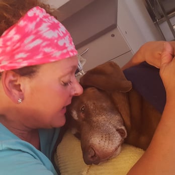 Value Vet Animal Clinic - Veterinarians Near Me - Everett, Washington Value Vet Animal Clinic - Veterinarians Near Me - Everett, Washington