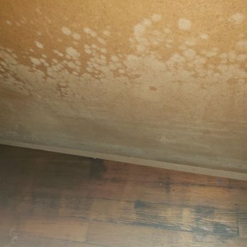 P&M Mold Pro - Mold infected wall - Damage Restoration Near Me - Montclair, New Jersey P&M Mold Pro - Mold infected wall - Damage Restoration Near Me - Montclair, New Jersey