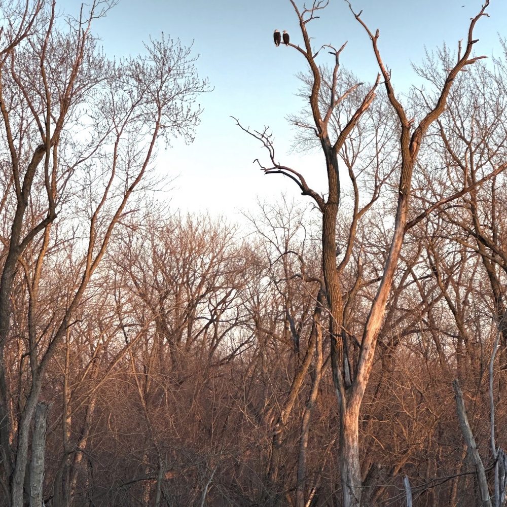 State park trail