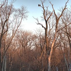 Starved Rock State Park - State park trail