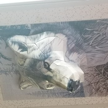 I Scream Ice Cream - 3D wolf puzzle in the ceiling - Ice Cream & Frozen Yogurt Near Me - Albuquerque, New Mexico I Scream Ice Cream - 3D wolf puzzle in the ceiling - Ice Cream & Frozen Yogurt Near Me - Albuquerque, New Mexico
