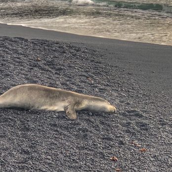 Black Sand Beach - Beaches Near Me