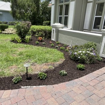 Outdoor Greatest Solutions - You want to get rid of your old plants? Refresh your garden? Call me! - Tree Services Near Me - Palmetto, Florida Outdoor Greatest Solutions - You want to get rid of your old plants? Refresh your garden? Call me! - Tree Services Near Me - Palmetto, Florida