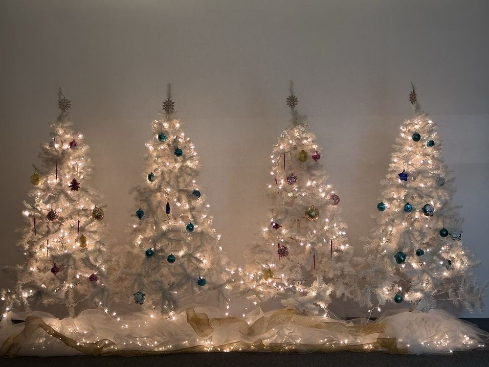 Graceful Expressions Dance Education Logo