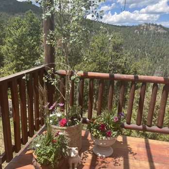Fancy Forest - Just a few examples of what she brought to my patio, including this amazing little Aspen tree - Florists Near Me - Bailey, Colorado Fancy Forest - Just a few examples of what she brought to my patio, including this amazing little Aspen tree - Florists Near Me - Bailey, Colorado