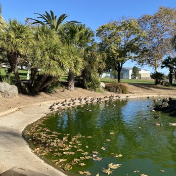 Woodland Park - Parks Near Me - San Marcos, California