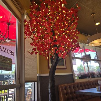 Red Maple - The Red Maple - Cafes Near Me - Los Angeles, California Red Maple - The Red Maple - Cafes Near Me - Los Angeles, California