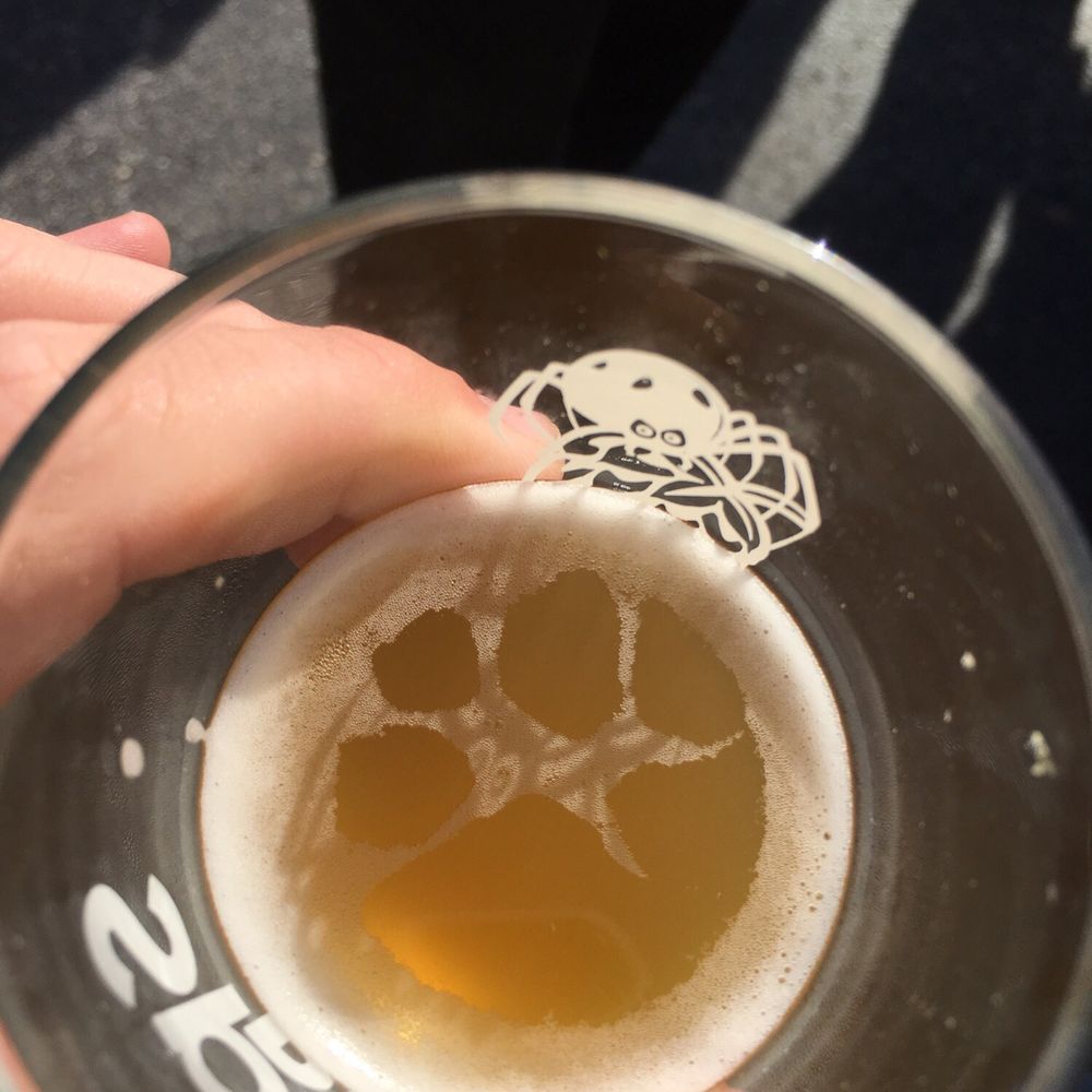 Spider Bite Beer Co - Breweries Near Me - Holbrook, New York Spider Bite Beer Co - Breweries Near Me - Holbrook, New York
