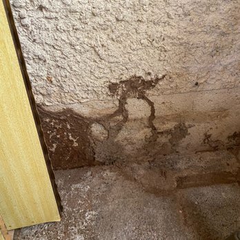 BEST Termites - Pest Control Near Me - Pont-du-Casse, 47