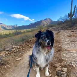 Doggo tested. Doggo approved (In winter. No doggos in the summer after the sun rises, seriously). Doggo tested. Doggo approved (In winter. No doggos in the summer after the sun rises, seriously).