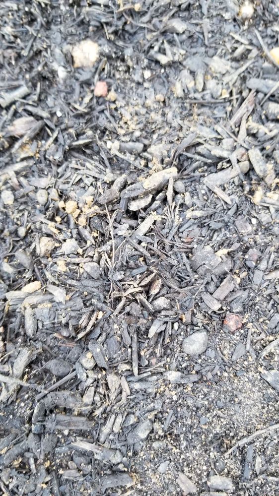 J’S GARDEN SPOT Updated July 2024 2039 Route 88, Brick, New Jersey