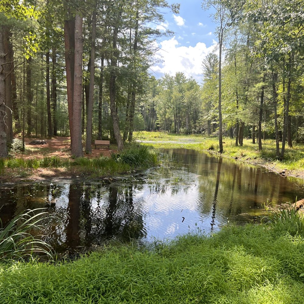 The property is beautiful The property is beautiful