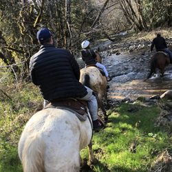 Flying M Ranch - Horses crossing the river!