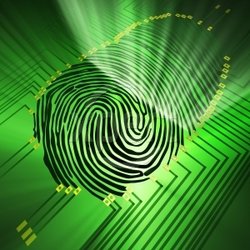 Wilsons Mobile Livescan Fingerprinting