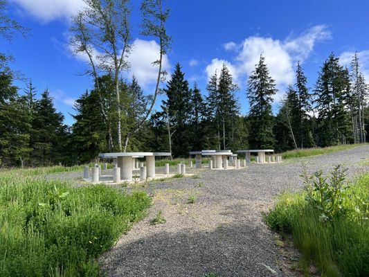 Willapa National Wildlife Refuge by null