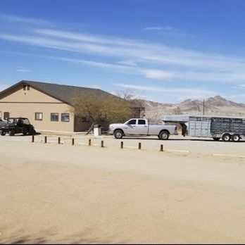 Wild Horse and Burro - Arts & Entertainment Near Me - Ridgecrest, California