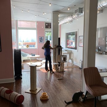 Pounce Cat Cafe - A room of play - Themed Cafes Near Me - Savannah, Georgia Pounce Cat Cafe - A room of play - Themed Cafes Near Me - Savannah, Georgia