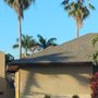 Photo of JC Custom Tree Service