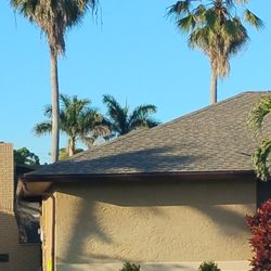 JC Custom Tree Service