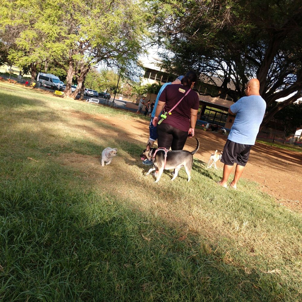 ...back at the Bark Park with James and Zoe too ...back at the Bark Park with James and Zoe too