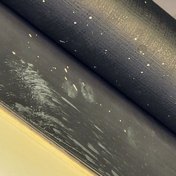 Walkers Mobile Detailing - Spatter that a professional that is "detail oriented" as his Facebook review says, would of noticed and taken care of. - Auto Detailing Near Me