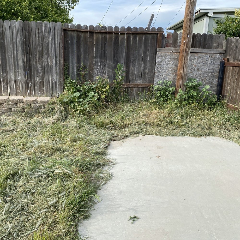 Harry's Landscaping and Maintenance - Before - Landscaping Near Me - Sacramento, California
