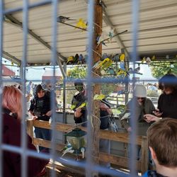 Eckert's Millstadt Fun Farm