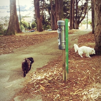 Holly Park - Donate your plastic bags here (see the green post?) Way cool! - Parks Near Me - San Francisco, California