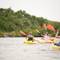 Lovers Key Adventures and Events - See manatees as we tour the mangrove protected estuary in Lovers Key State Park