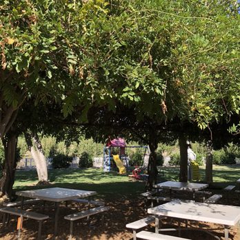 Hooverville Orchards - Picnic area - Fruits & Veggies Near Me - Placerville, California