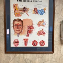Louisiana Ear Nose Throat & Sinus - Decor