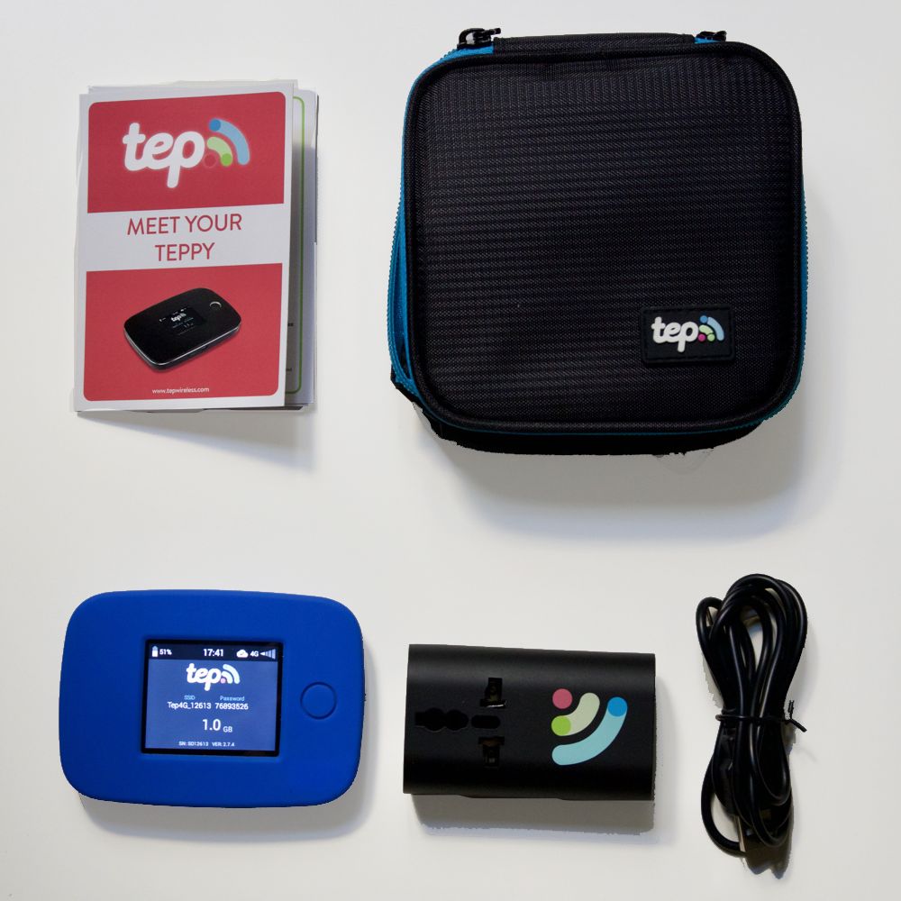 The items that come with Teppy - a case, instructions, the device itself, a travel adapter for outlets, and a mini USB cord for charging.