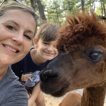 Out Of Sight Alpacas - Attraction Farms Near Me - Waretown, New Jersey