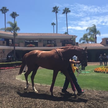 Del Mar Racetrack - Beautiful animals! - Race Tracks Near Me - Del Mar, California Del Mar Racetrack - Beautiful animals! - Race Tracks Near Me - Del Mar, California