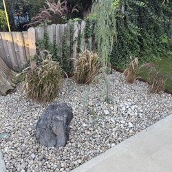 Dammann's Garden Company - Black Ice Boulder and Atlas cedar