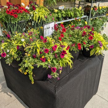 Farm Boy - Cheerful! - Grocery Near Me - Kitchener, Ontario Farm Boy - Cheerful! - Grocery Near Me - Kitchener, Ontario