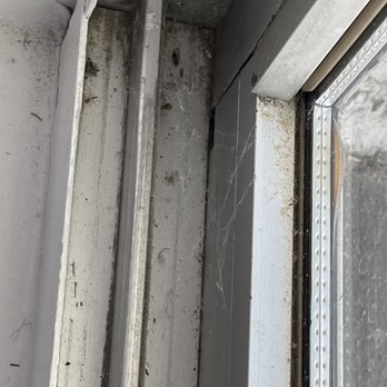 Hotel Royal Oak - Window sill bugs - Hotels Near Me - Royal Oak, Michigan