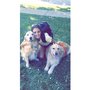Photo of Naperville Pet Care