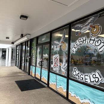 Baygulls Bakery - Bagels Near Me - Tampa, Florida