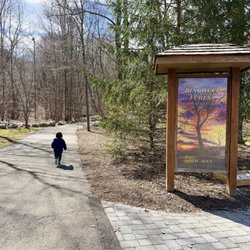 Ringwood Playground