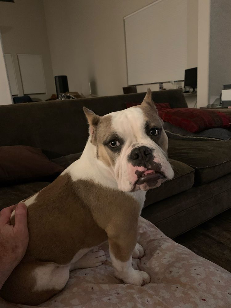 Matthew S Stubblefield, MD - grief counselor in Santa Rosa, CA