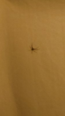 Missing Hotel by null