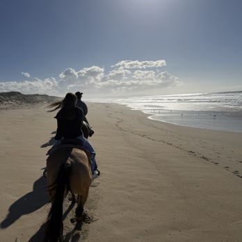 Monterey Bay Equestrian Center - Beach view - Horseback Riding Near Me - Castroville, California Monterey Bay Equestrian Center - Beach view - Horseback Riding Near Me - Castroville, California