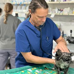 San Marcos Blvd Veterinary Hospital and Urgent Care