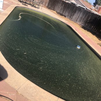 Pool Polishers - Before - Pool Cleaners Near Me